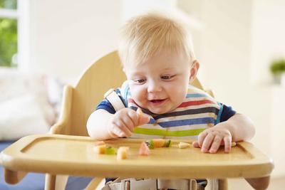 一岁宝宝能吃鸽子吗 一周岁宝宝饮食需要注意哪些问题
