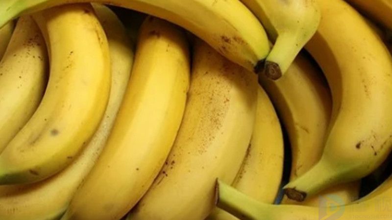 快乐水果香蕉的诸多药理作用
