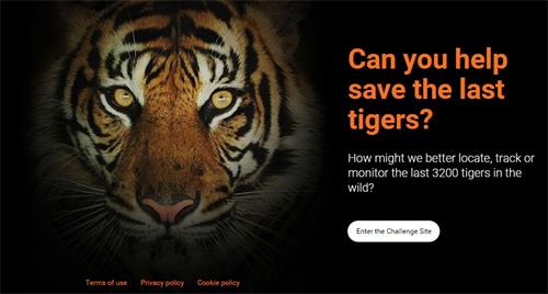 科学家举办“为虎筹谋”活动 呼吁为老虎保护出谋划策