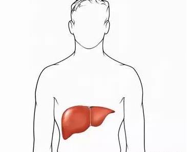 肝脏不好有什么表现 这10个护肝法一定要记住