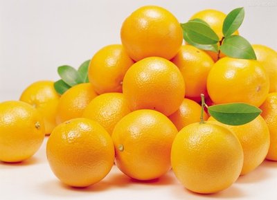 橙子的减肥原理