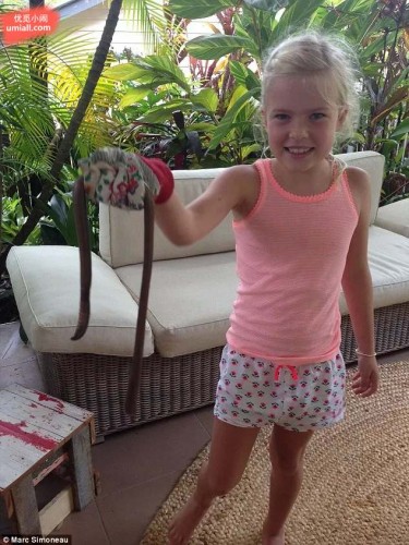 澳大利亚发现了巨长的蚯蚓