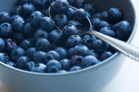 蓝莓种植方法，蓝莓图片