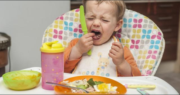 宝宝是真的厌食吗