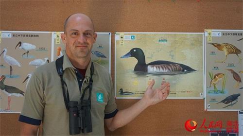 濒危青头潜鸭在武汉发现繁殖地 全球仅存400只