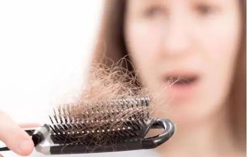 中年人的头发会掉会变白的原因 做好预防远离这些困扰
