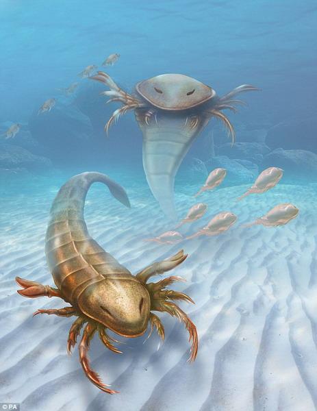 研究发现4.6亿年前板足鲎新物种长着桨状腿部