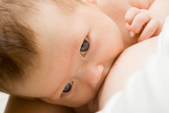 为什么大家都说吃母乳的宝宝六个月之内基本不生病？