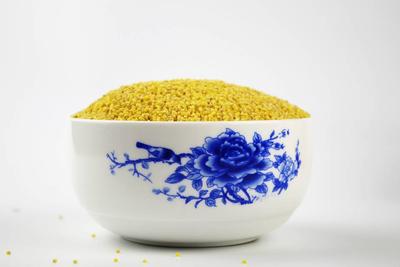 黄河油小米的功效有哪些 黄河油小米的作用有什么