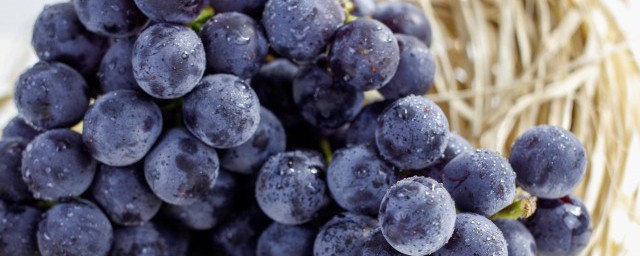 吃不到葡萄说葡萄酸的出处 吃不到葡萄说葡萄酸出自哪里