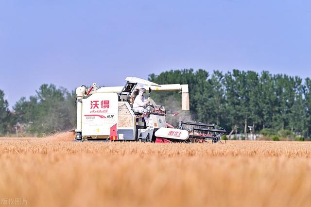 10公斤小麦收割机，江苏沃得vs中联谷王，冲击榜首的“王者”比拼
