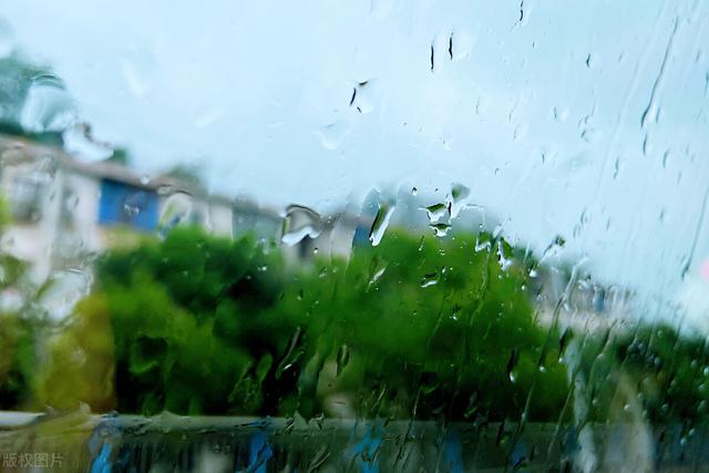 夏日雨天的古诗词6首：一雨池塘水面平，散作荷心万点声