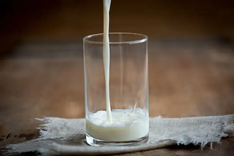 水牛奶和纯牛奶哪个营养价值高3