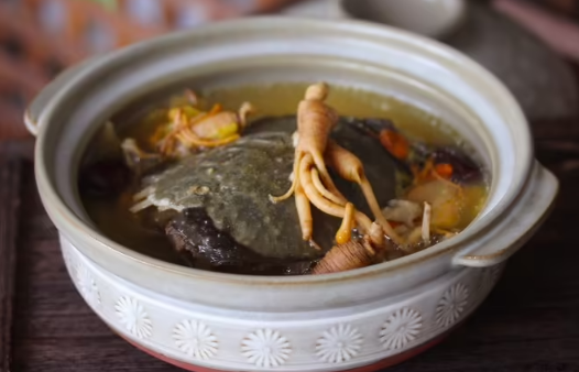 甲鱼汤怎么做好喝又营养-甲鱼汤和什么搭配煲汤最好