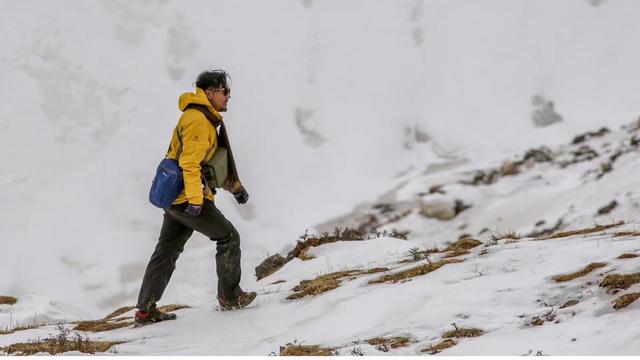 对话寻豹人阿旺久美：在雪山中，守护“世界屋脊上的大猫”雪豹