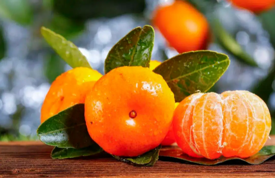 砂糖橘和橙子哪个vc含量高一些3