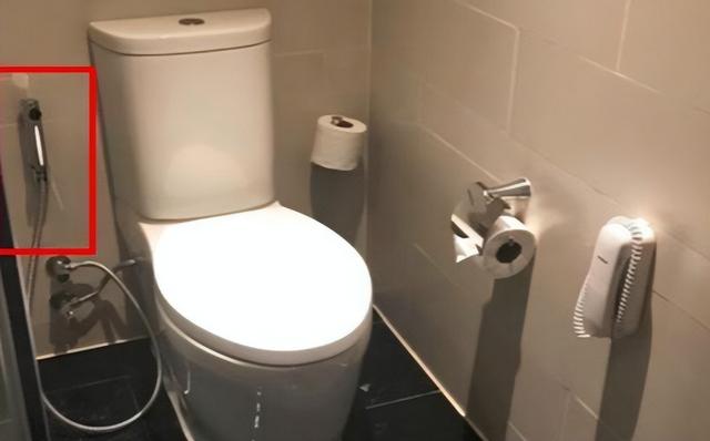 泰国酒店厕所中的软管有何用途？酒店人员直言不讳，女游客脸红了
