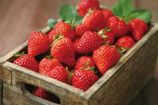 草莓放冰箱还是常温保存-草莓保鲜及储存方法