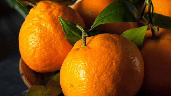橘子榨汁加什么水果好 喝橘子汁对身体有什么好处