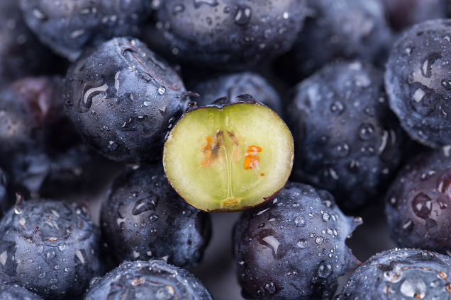 蓝莓中的花青素含量很高吗-蓝莓的花青素含量是多少毫克