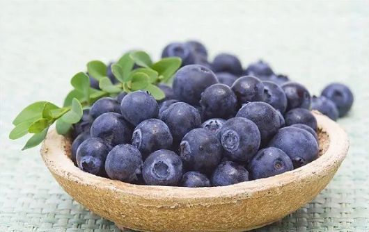 蓝莓可以用热水烫一下吃吗-蓝莓能用开水烫一下吃吗